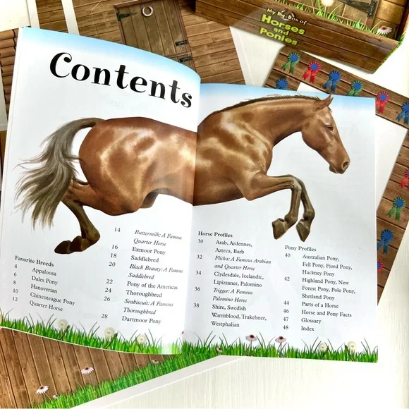 NEW My Big Box of Horses & Ponies Figures Stable Prize Ribbon Horse Book Toy Set - Picture 9 of 13